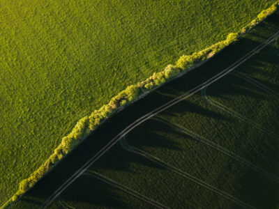 Creating Microclimates With Windbreaks Image